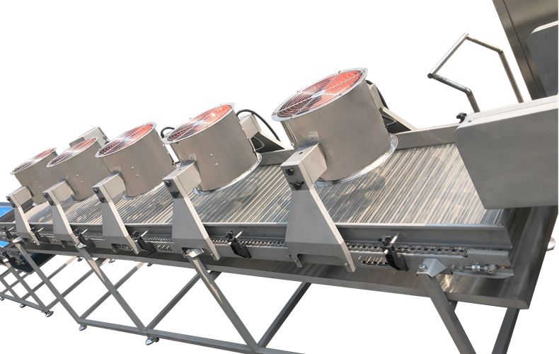 Food Grade Cooling Conveyor