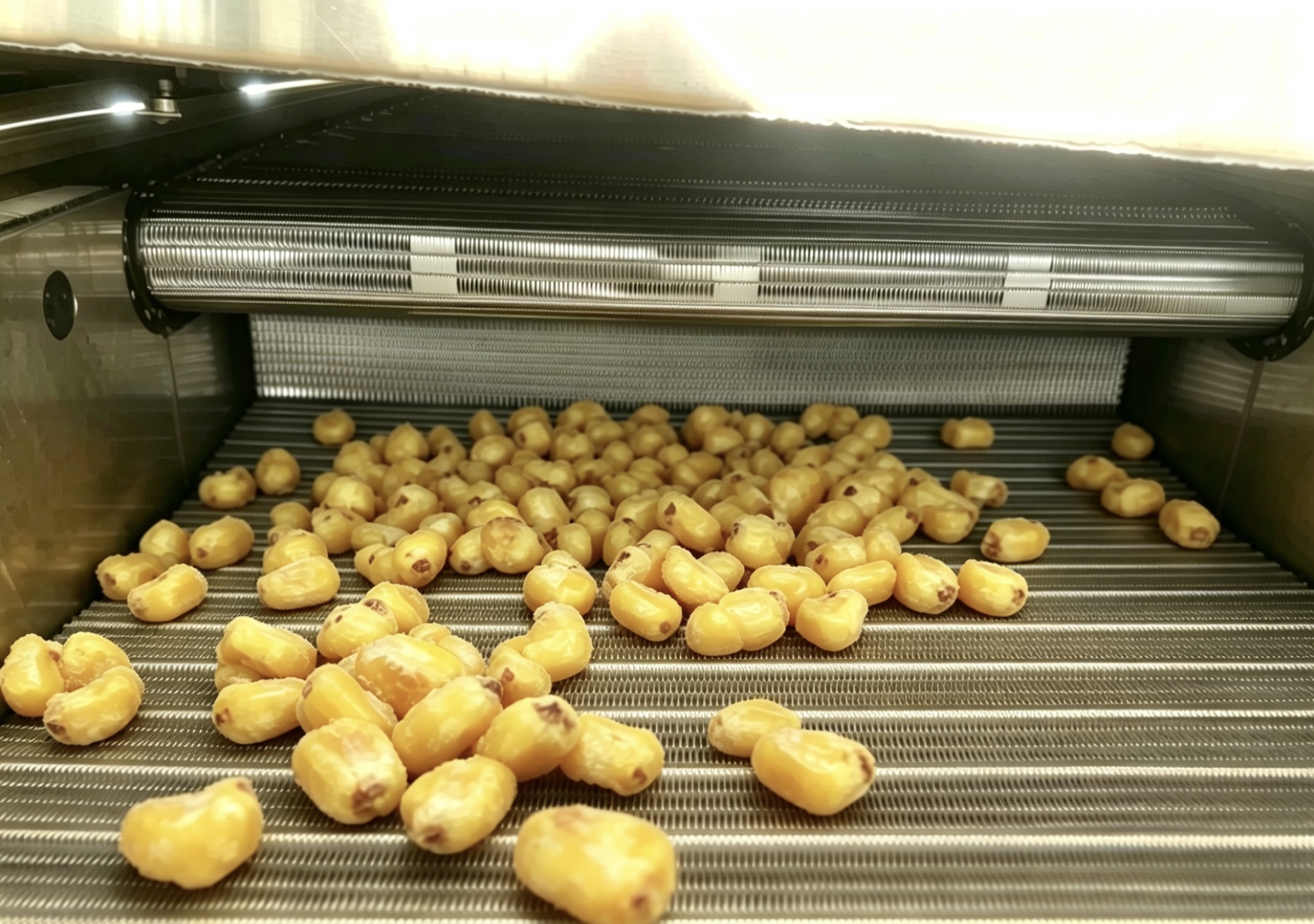 Industrial Corn Nut Fryer: Boosting Snack Production Efficiency Amid Global Demand Surge