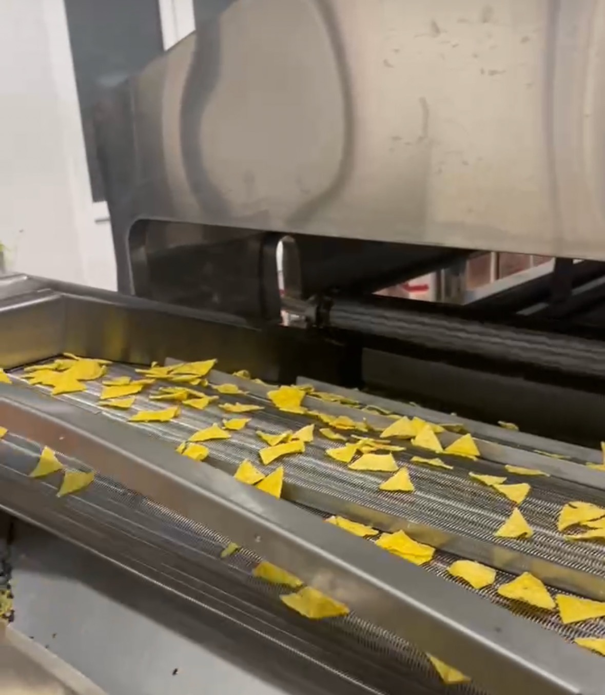 The Professional Continuous Fryer For Tortilla Chips