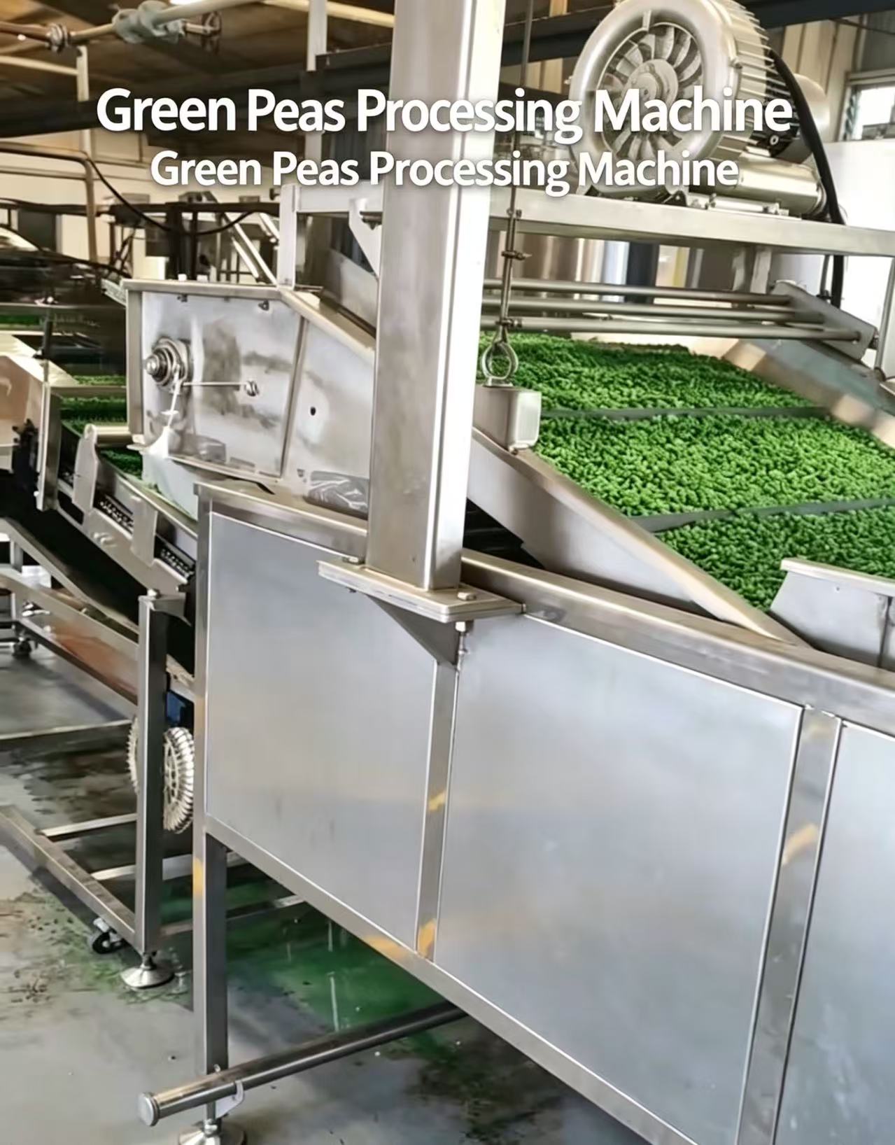 How Classic Fried Green Peas Are Made: Simple Steps for Crunchy Snacks