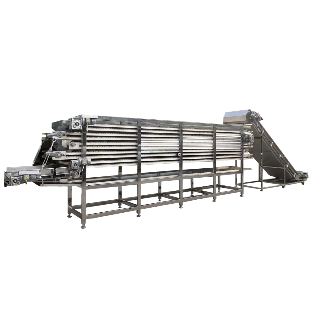 conveying systems for tortilla chips